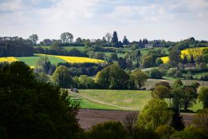 Xavier MARTINO - STUDIO MARTINO